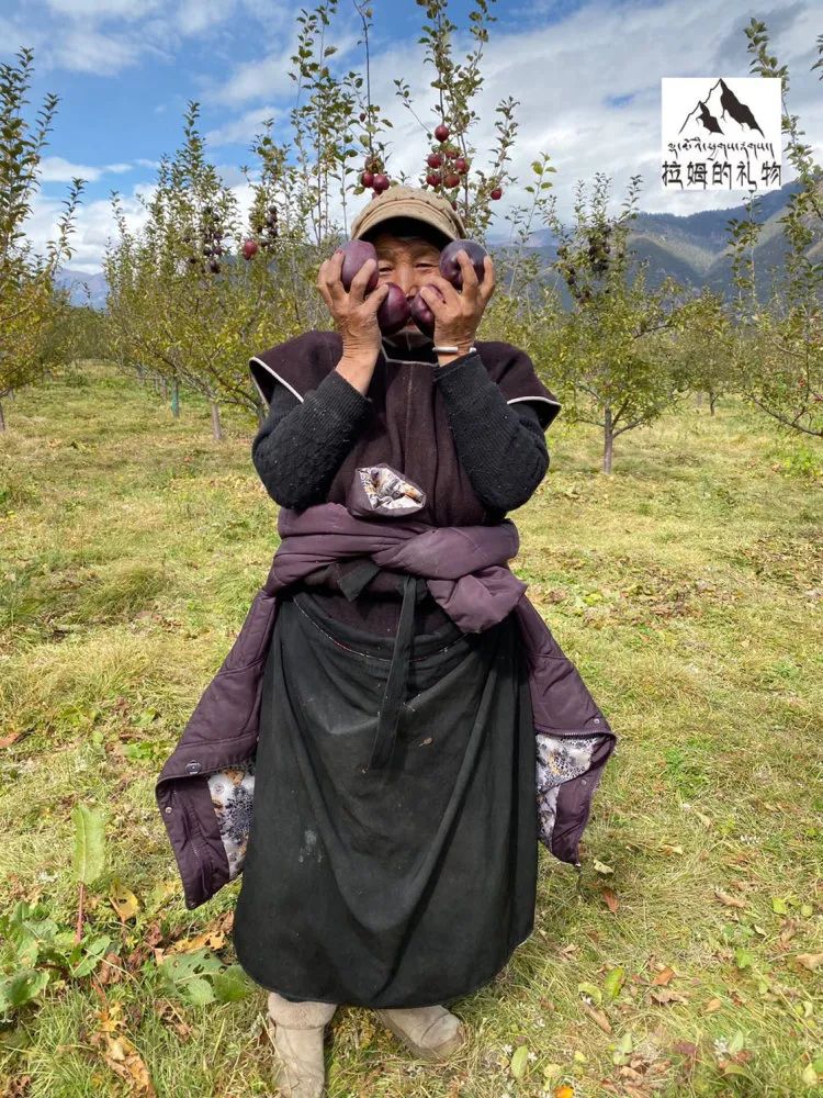 中通/顺丰空运【西藏林芝黑苹果】礼盒装/钻石礼盒装，西藏林芝转拉萨发货！5天左右发货！