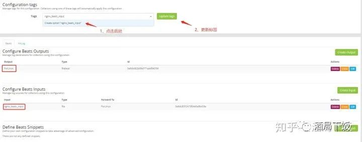 [日志分析]Graylog2采集Nginx日志 主动方式