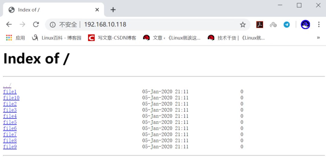 RHEL 8 搭建 Nginx Web 服务