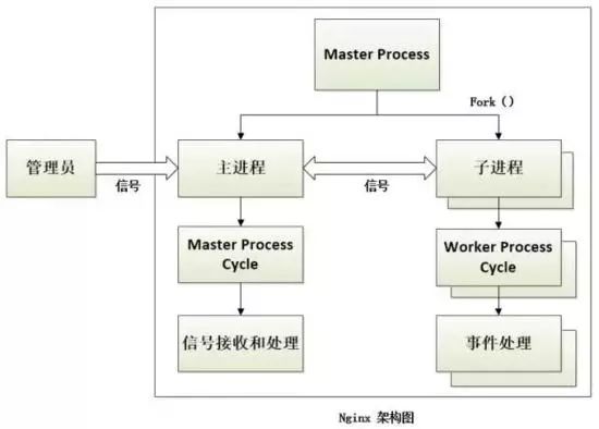 从 Nginx 优秀的核心架构设计，揭秘其为何能支持高并发？