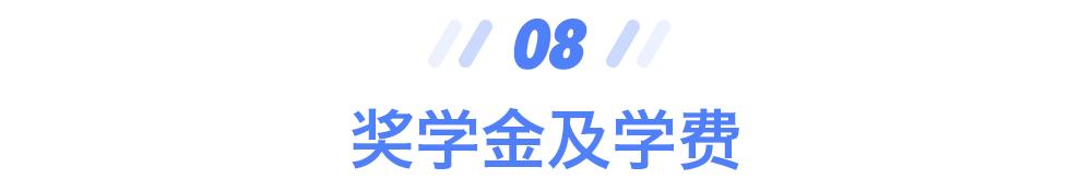 自然语言处理、计算机视觉、推荐系统、数据科学哪家强？