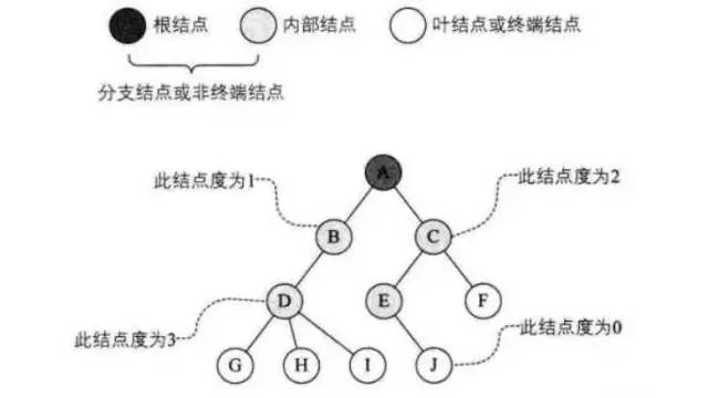 【数据结构】树的定义和树的三种存储结构