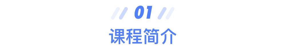 自然语言处理、计算机视觉、推荐系统、数据科学哪家强？