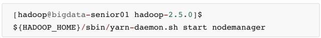 最详细的 Hadoop 入门教程