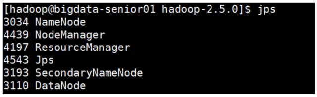 最详细的 Hadoop 入门教程