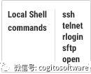 Xshell： 强大的安全终端仿真软件（三）| Quick Commands发送重复字符串，自动化脚本、自定义文本编辑