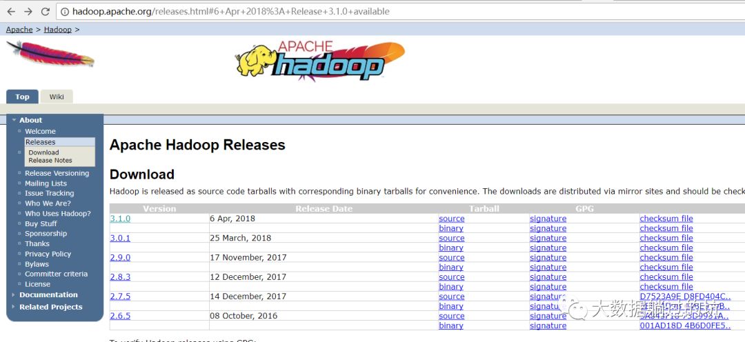 【快讯】Apache Hadoop 3.1.0 正式发布，原生支持GPU和FPGA【赶紧围观】