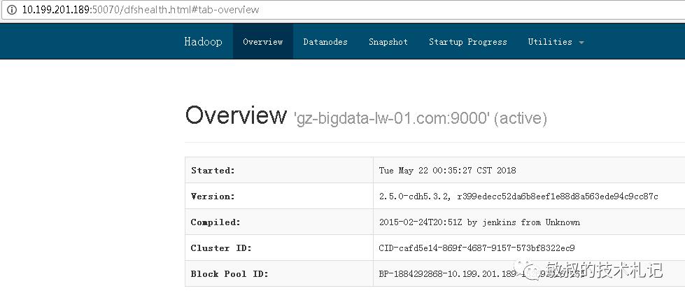 初体验Hadoop-伪分布环境的搭建