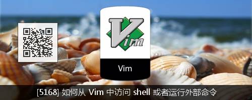 如何在 Vim 中进行文本选择操作和使用标志