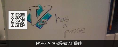 如何在 Vim 中进行文本选择操作和使用标志