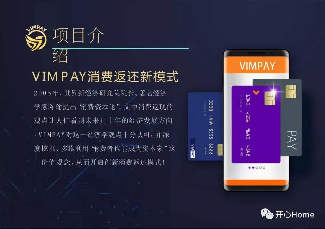 什么是VIMPAY