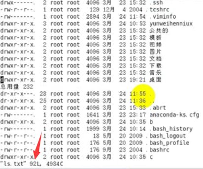 Linux入门Day2——Linux基础指令