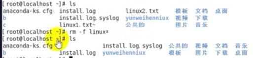 Linux入门Day2——Linux基础指令