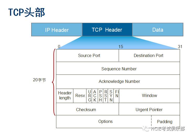 老司机带你详解tcp协议（上）