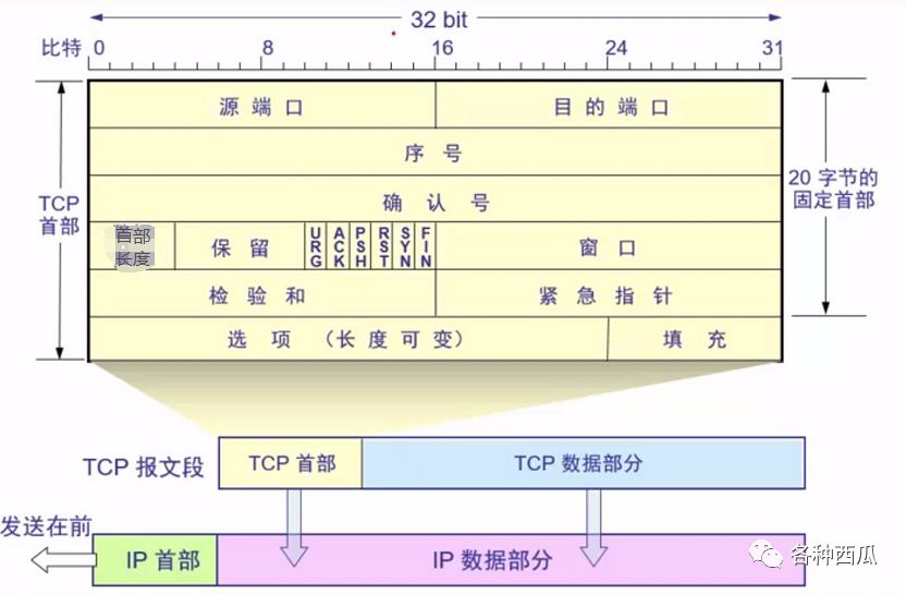 TCP协议(1)