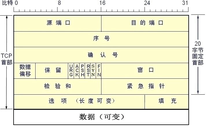 自定义 TCP 协议