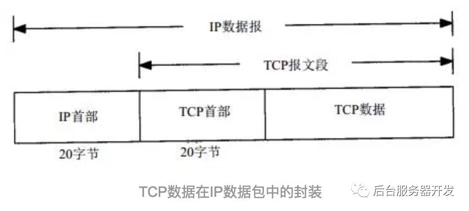 重温TCP协议