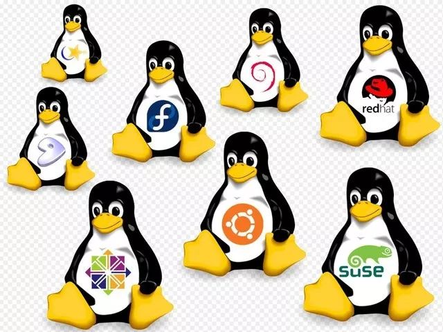 码农最爱的编辑器是vim Linux桌面当属Ubuntu