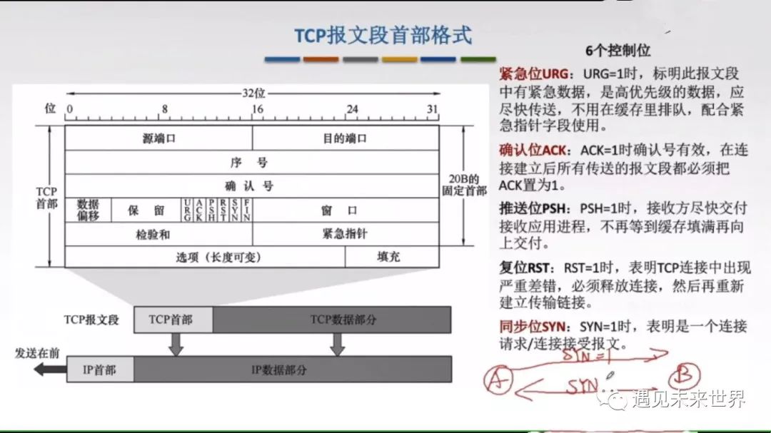 TCP协议特点及其报文格式