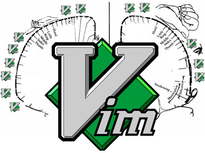 Vim 使用者大脑的形态