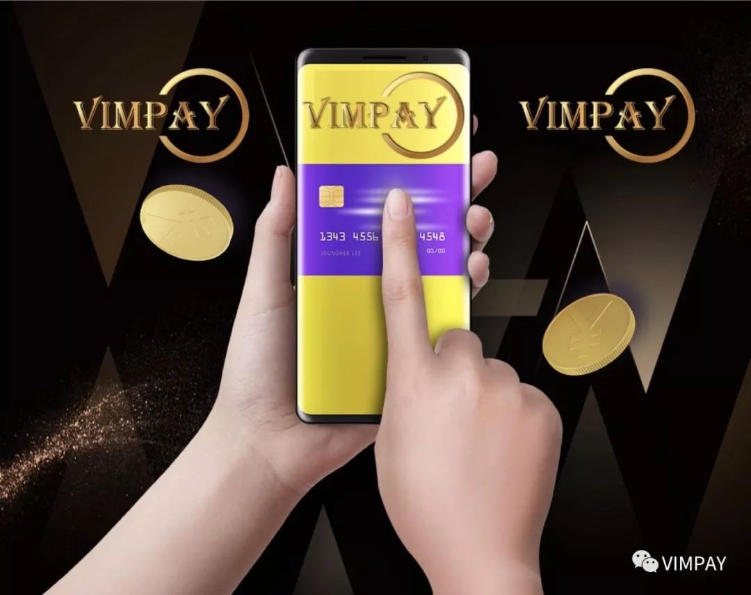 《VIMPAY的未来支付生态主题演讲》——日本东京首“站”告捷