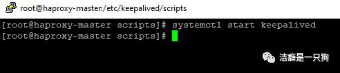 高可用篇之Keepalived （HAProxy+keepalived 搭建高可用负载均衡集群）
