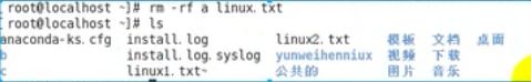 Linux入门Day2——Linux基础指令