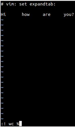 如何从 Vim 中访问 shell 或者运行外部命令