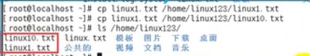 Linux入门Day2——Linux基础指令