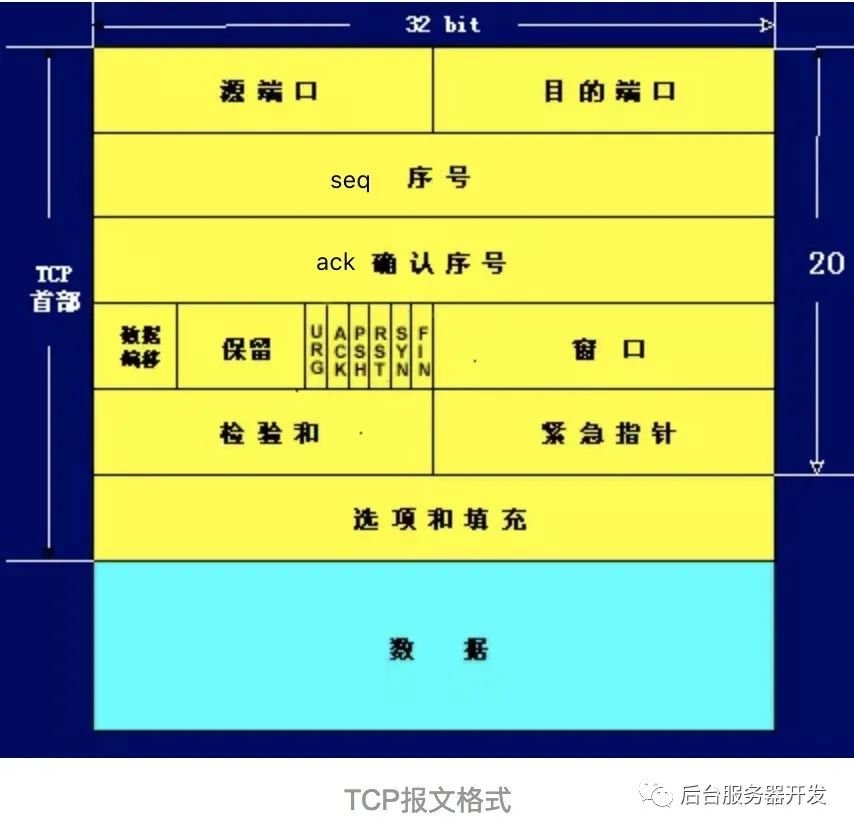 重温TCP协议