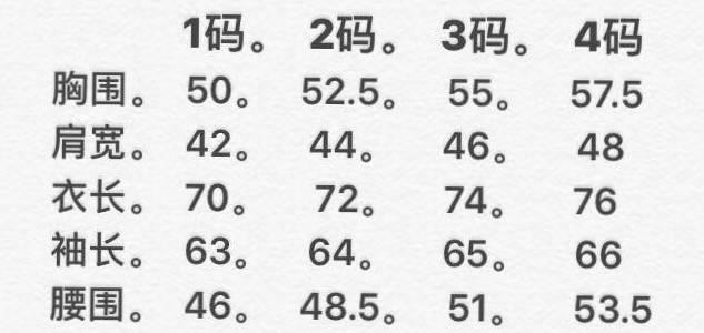 X月 本期重点推荐！爆款！Vi-vim 水洗补丁衬衣！配信封纸袋