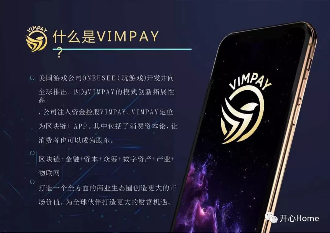 什么是VIMPAY