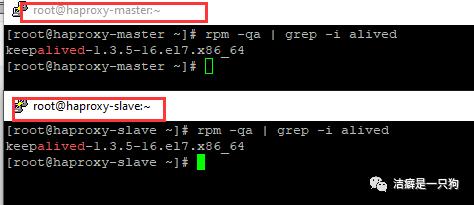 高可用篇之Keepalived （HAProxy+keepalived 搭建高可用负载均衡集群）