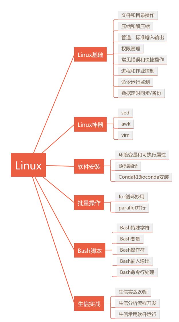 生信分析Linux基础和R绘图——玩转公司反馈的测序报告和数据表