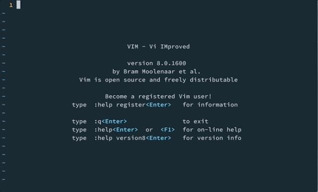 Vim 工具：自带帮助系统