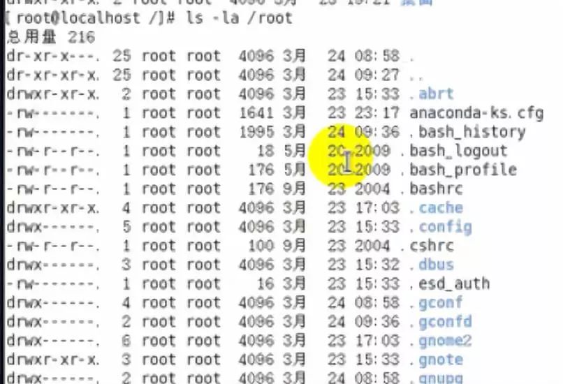 Linux入门Day2——Linux基础指令