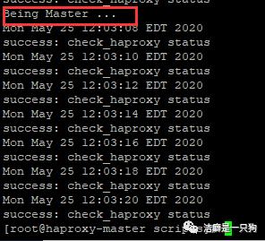 高可用篇之Keepalived （HAProxy+keepalived 搭建高可用负载均衡集群）