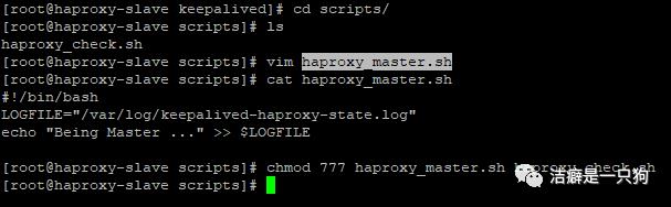 高可用篇之Keepalived （HAProxy+keepalived 搭建高可用负载均衡集群）