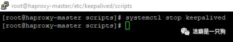 高可用篇之Keepalived （HAProxy+keepalived 搭建高可用负载均衡集群）