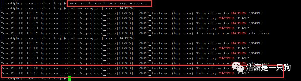 高可用篇之Keepalived （HAProxy+keepalived 搭建高可用负载均衡集群）