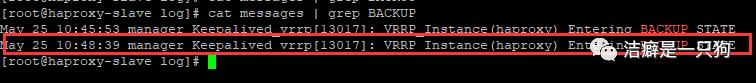 高可用篇之Keepalived （HAProxy+keepalived 搭建高可用负载均衡集群）