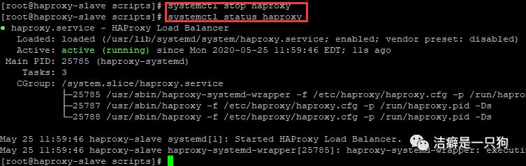 高可用篇之Keepalived （HAProxy+keepalived 搭建高可用负载均衡集群）