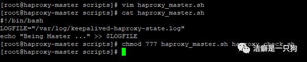 高可用篇之Keepalived （HAProxy+keepalived 搭建高可用负载均衡集群）