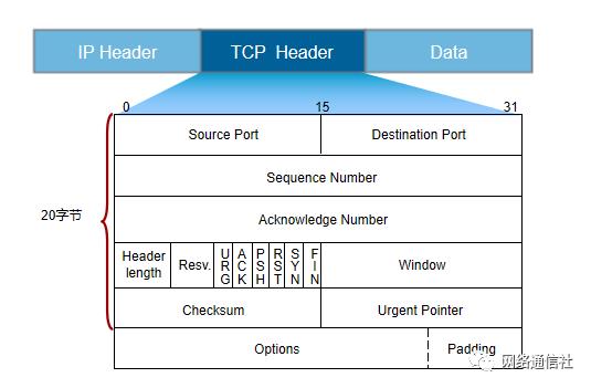 第15期：TCP协议解析