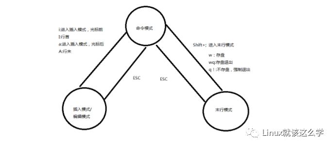 VIM 编辑器操作指南