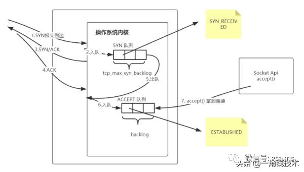 从一个HTTP请求来读懂HTTP、TCP协议