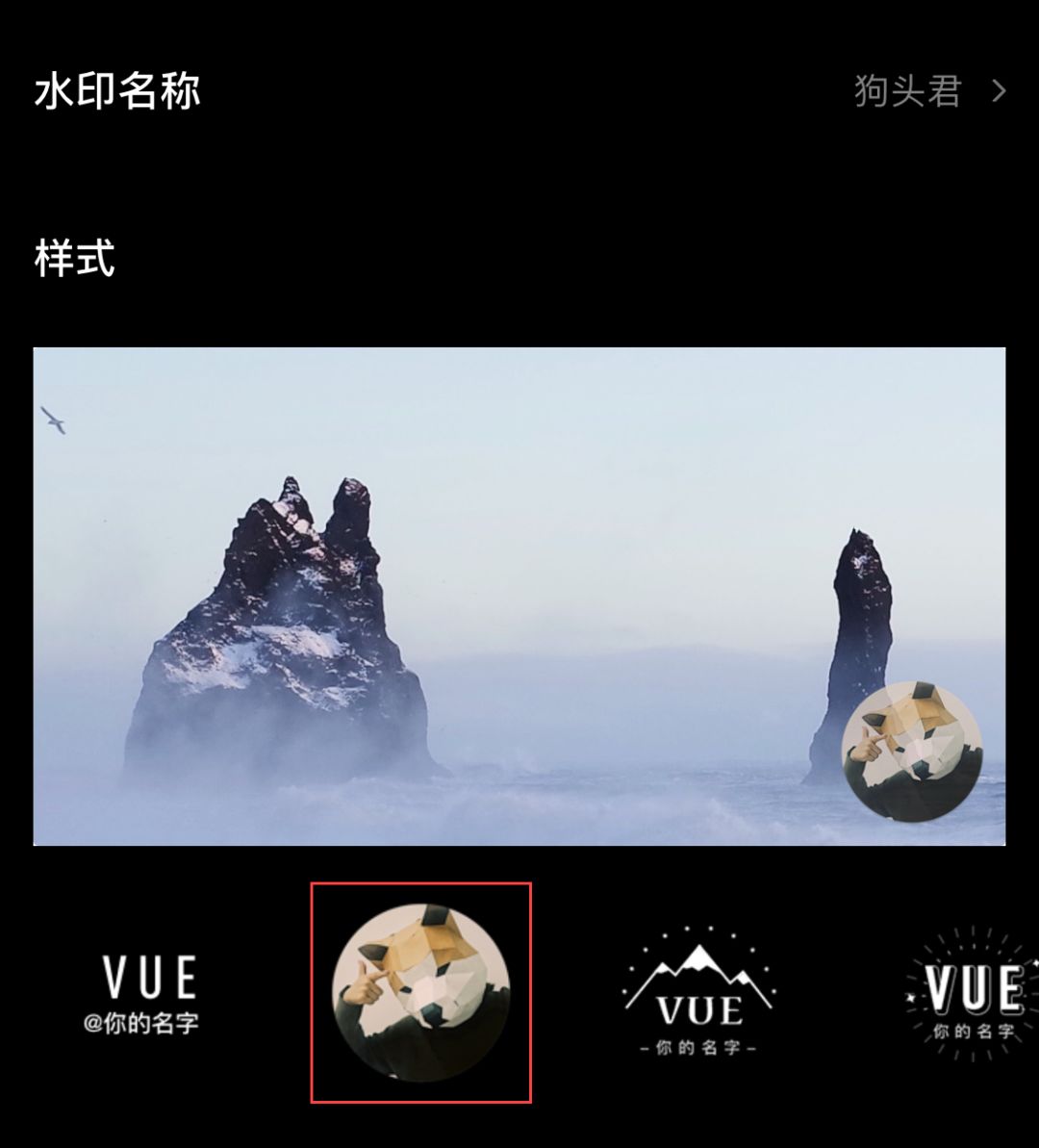 VUE PRO 会员 | 海量素材、定制水印、畅用自动字幕，还可发布超长视频！