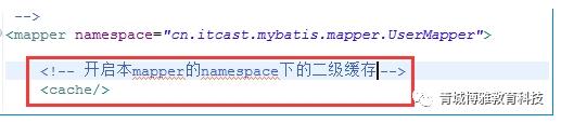 Java——Mybatis二级缓存