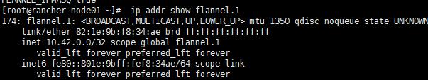 搞定 Kubernetes 基于flannel 的集群网络