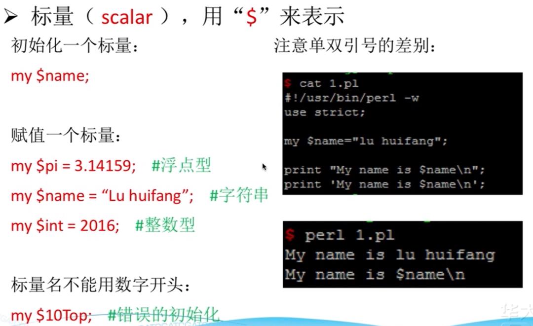 Perl——标量&列表数组